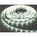 Imperméable SMD2835 8mm CE approuvé Flexible LED Strip Light